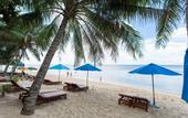 Туры в отель Orange Resort