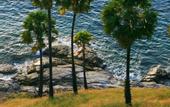 Туры в отель Coco Palace Resort
