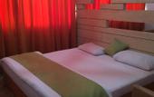 Туры в отель Everest International Hotel
