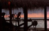 Туры в отель Coco Bodu Hithi