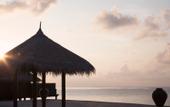 Туры в отель Coco Bodu Hithi