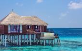 Туры в отель Coco Bodu Hithi
