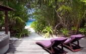 Туры в отель Coco Bodu Hithi