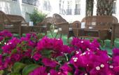 Туры в отель Chronos Beach Hotel Bitez