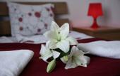 Туры в отель Opera Residence Apartment