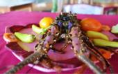 Туры в отель Silver Beach Hotel