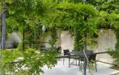 Туры в отель Belgrade Rustaveli Hotel