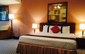 Туры в отель Tulip Inn Hotel Fz LLC