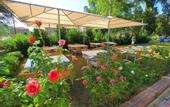 Туры в отель Palm Bay Beach Hotel
