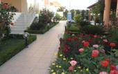 Туры в отель Golden Rose Suites