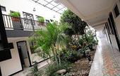 Туры в отель Colaye San Jose