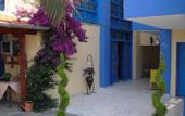 Туры в отель Kangaroo Hotel