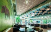 Туры в отель Hotel Macola