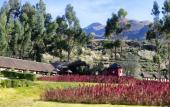 Туры в отель Colca Lodge