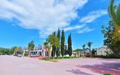 Туры в отель Club Simena Hotel