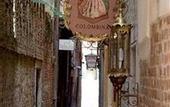 Туры в отель Colombina