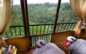 Туры в отель Jungle Retreat by Kupu Kupu Barong