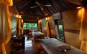 Туры в отель Jungle Retreat by Kupu Kupu Barong