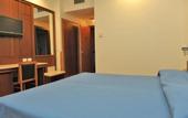 Туры в отель Hotel Svevo