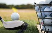 Туры в отель Colonna Resort Country & Sporting Club