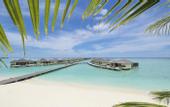 Туры в отель Paradise Island Resort Haven