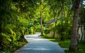 Туры в отель Paradise Island Resort Haven