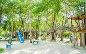 Туры в отель Paradise Island Resort Haven