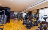 Туры в отель Flora Al Barsha Hotel