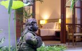 Туры в отель Bali Summer Hotel