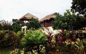 Туры в отель Wareerak Hot Spring Retreat by Vacation Village