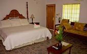 Туры в отель The Westender Inn
