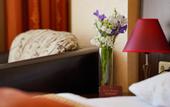 Туры в отель Panorama Spa Hotel