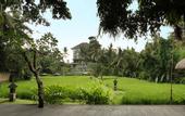 Туры в отель Plataran Ubud Hotel & Spa
