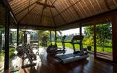 Туры в отель Plataran Ubud Hotel & Spa