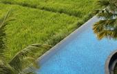 Туры в отель Plataran Ubud Hotel & Spa