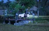 Туры в отель Plataran Ubud Hotel & Spa
