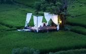 Туры в отель Plataran Ubud Hotel & Spa