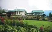 Туры в отель Tea Bush Hotel