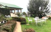 Туры в отель Tea Bush Hotel
