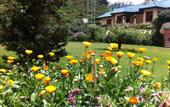 Туры в отель Tea Bush Hotel