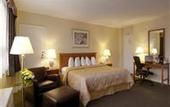 Туры в отель Comfort Hotel Downtown Toronto