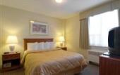 Туры в отель Comfort Hotel Downtown Toronto