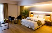 Туры в отель Bomo Philippos Xenia Hotel (Serres)
