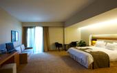 Туры в отель Bomo Philippos Xenia Hotel (Serres)