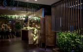 Туры в отель Bomo Philippos Xenia Hotel (Serres)