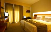 Туры в отель Bomo Philippos Xenia Hotel (Serres)