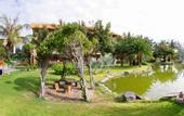Туры в отель Blue Bay Mui Ne Resort & Spa