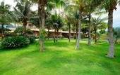 Туры в отель Blue Bay Mui Ne Resort & Spa