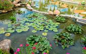 Туры в отель Blue Bay Mui Ne Resort & Spa