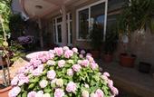 Туры в отель Villa Zec